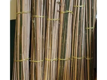 plant support bamboo sticks
