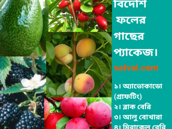 5 foreign fruit plant package