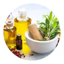 satvai nursery harbal plant category